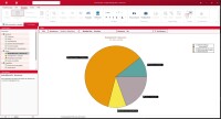 Projekt-Manager 2025 CS - Update unlimited